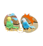 インコスタンプ第2号（個別スタンプ：9）