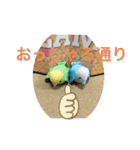 インコスタンプ第2号（個別スタンプ：10）