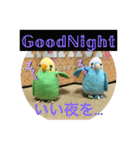 インコスタンプ第2号（個別スタンプ：14）