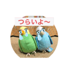インコスタンプ第2号（個別スタンプ：15）