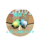 インコスタンプ第2号（個別スタンプ：20）