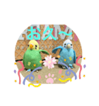 インコスタンプ第2号（個別スタンプ：22）