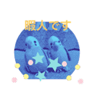 インコスタンプ第2号（個別スタンプ：33）