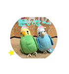 インコスタンプ第2号（個別スタンプ：35）