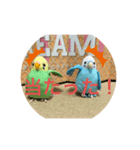 インコスタンプ第2号（個別スタンプ：40）