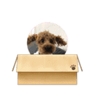 めっちゃ可愛いーー（個別スタンプ：1）