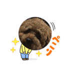 めっちゃ可愛いーー（個別スタンプ：3）