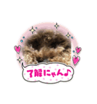 めっちゃ可愛いーー（個別スタンプ：4）