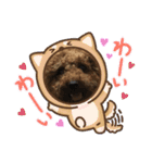 めっちゃ可愛いーー（個別スタンプ：16）