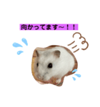 ふうちゃんスタンプ第二弾（個別スタンプ：2）