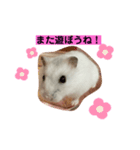 ふうちゃんスタンプ第二弾（個別スタンプ：4）