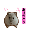 ふうちゃんスタンプ第二弾（個別スタンプ：5）