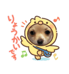 チャミとマロ（個別スタンプ：8）