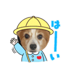 チャミとマロ（個別スタンプ：13）