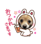 チャミとマロ（個別スタンプ：16）