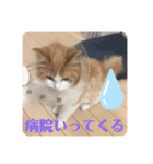 Lily 日常スタンプ（個別スタンプ：8）