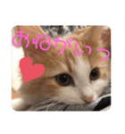 Lily 日常スタンプ（個別スタンプ：12）