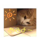 Lily 日常スタンプ（個別スタンプ：16）
