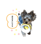 LEOON（個別スタンプ：1）