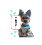 LEOON（個別スタンプ：3）