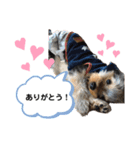 LEOON（個別スタンプ：4）