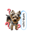 LEOON（個別スタンプ：5）
