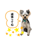 LEOON（個別スタンプ：8）