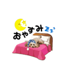 LUCAと私と時々おかん☆（個別スタンプ：3）