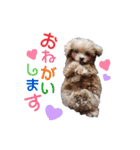 LUCAと私と時々おかん☆（個別スタンプ：4）