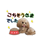 LUCAと私と時々おかん☆（個別スタンプ：5）