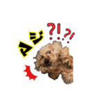 LUCAと私と時々おかん☆（個別スタンプ：8）