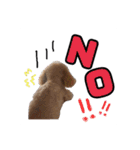 LUCAと私と時々おかん☆（個別スタンプ：9）