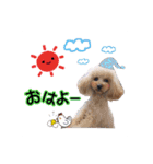 LUCAと私と時々おかん☆（個別スタンプ：12）
