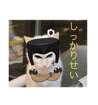 かわいい白猫の甘えん坊スタンプ^_^2（個別スタンプ：1）