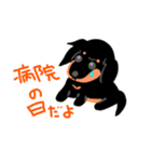 ブラタンちゃんの日常（個別スタンプ：4）