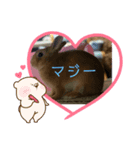 cocousagisann（個別スタンプ：7）