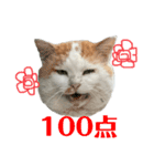 俺、いちのじょう。2（個別スタンプ：9）