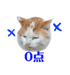 俺、いちのじょう。2（個別スタンプ：10）