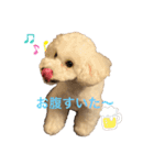 ARURURU（個別スタンプ：3）