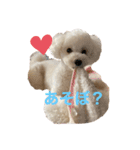 ARURURU（個別スタンプ：5）