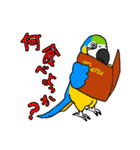 ルリコンゴウインコのイラストスタンプ（個別スタンプ：16）