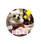 こたスタンプ 2（個別スタンプ：8）