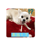 こたスタンプ 2（個別スタンプ：10）