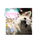 こたスタンプ 2（個別スタンプ：24）