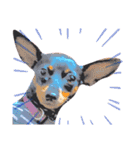 名犬サクちゃん5（個別スタンプ：18）
