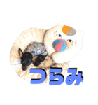 名犬サクちゃん5（個別スタンプ：27）