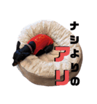 名犬サクちゃん5（個別スタンプ：35）