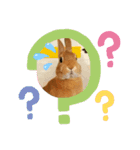 うさぎのモカちゃんスタンプPart9（個別スタンプ：2）