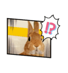 うさぎのモカちゃんスタンプPart9（個別スタンプ：3）