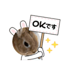 うさぎのモカちゃんスタンプPart9（個別スタンプ：10）